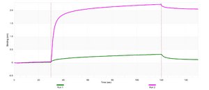 Anti-PLK1 Antibody, clone 1F2 ZooMAb® Rabbit Monoclonal recombinant, expressed in HEK 293 cells