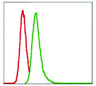 单克隆抗-G6PD 小鼠抗 clone 5E12, ascites fluid