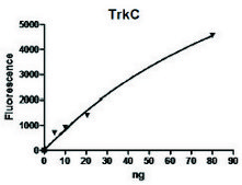 TRKC active human recombinant, expressed in baculovirus infected Sf9 cells, ≥70% (SDS-PAGE)
