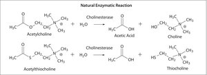 乙酰胆碱酯酶 人 recombinant, expressed in HEK 293 cells, lyophilized powder, ≥1,000 units/mg protein (BCA)