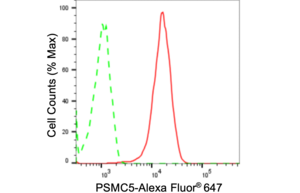Anti PSMC5 Antibody, clone 24GB1500, Rabbit Monoclonal clone 24GB1500, recombinant rabbit monoclonal, expressed in HEK293 cells