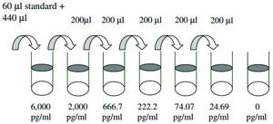 Mouse ICAM-1 ELISA Kit for serum, plasma and cell culture supernatant