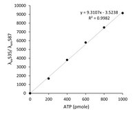 ATP Assay Kit sufficient for 100 colorimetric or fluorometric tests