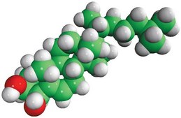 4β-羟基胆固醇 Avanti Research™ - A Croda Brand