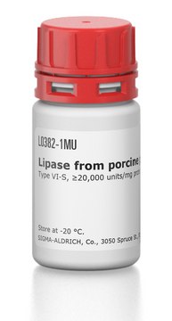 Lipase from porcine pancreas Type VI-S, ≥20,000 units/mg protein, lyophilized powder