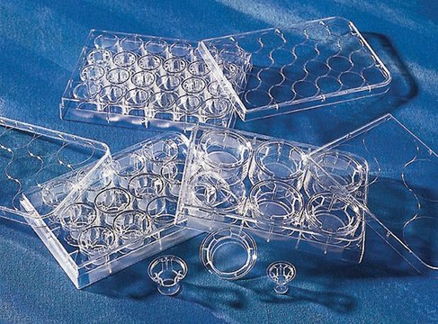 Corning®Transwell®聚酯薄膜细胞培养插件 12 mm Transwell with 3.0 μm pore polyester membrane insert, TC-treated, sterile, 48/cs