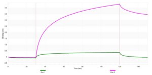 Anti-LATS2 Antibody, clone 1L5 ZooMAb® Rabbit Monoclonal recombinant, expressed in HEK 293 cells