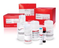 Chitinase Assay Kit sufficient for 100 multiwell tests