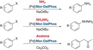 Di(1-adamantyl)-2-dimethylaminophenylphosphine 98%