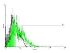 Anti-ADRB3 antibody produced in mouse purified immunoglobulin, buffered aqueous solution