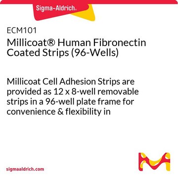 Millicoat® Human Fibronectin Coated Strips (96-Wells) Millicoat Cell Adhesion Strips are provided as 12 x 8-well removable strips in a 96-well plate frame for convenience & flexibility in designing assays.