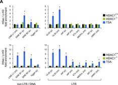 Anti-acetyl-Histone H4 Antibody 1 mg/mL, Upstate®