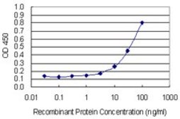 Monoclonal Anti-MMP3 antibody produced in mouse clone 4C11, purified immunoglobulin, buffered aqueous solution