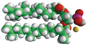 4ME 16:0 PA 1,2-diphytanoyl-sn-glycero-3-phosphate (sodium salt), powder