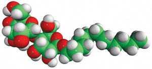 n-dodecyl-β-D-maltoside (DDM) Avanti Research™ - A Croda Brand