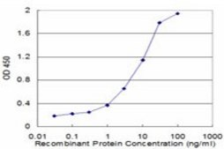 Monoclonal Anti-CALCR, (C-terminal) antibody produced in mouse clone 2F7, purified immunoglobulin, buffered aqueous solution