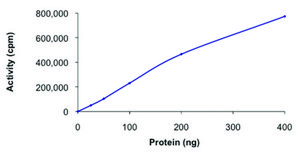 FGFR2 (285-end), active, GST tagged human PRECISIO® Kinase, recombinant, expressed in baculovirus infected Sf9 cells, ≥80% (SDS-PAGE), buffered aqueous glycerol solution