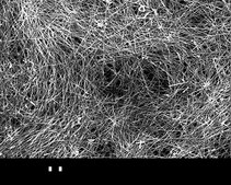 Silver nanowires diam. × L 100 nm × 6 μm, 0.5% (isopropyl alcohol suspension)