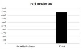 抗乙酰组蛋白H4（Lys8）抗体 serum, Upstate®