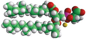 4ME 16:0 PS 1,2-diphytanoyl-sn-glycero-3-phospho-L-serine (sodium salt), powder