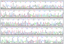 GenElute™ Plasmid Miniprep Kit sufficient for 70 purifications
