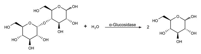 α-Glucosidase from Saccharomyces cerevisiae Type I, lyophilized powder, ≥10 units/mg protein (using p-nitrophenyl α-D-glucoside as substrate.)