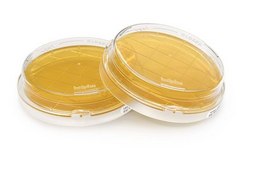 Tryptic Soy Agar - Ready-to-use Contact Plates Tween®, Sodium thiosulfate, Histidine, Lecithin, ICR plate with non-lockable lid, plate diam. 55 mm, sterile; γ-irradiated, pkg of 10 plates Triple packed, suitable for surface monitoring