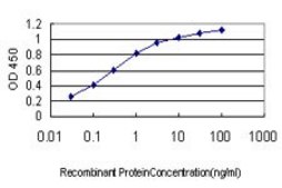 Monoclonal Anti-CA1 antibody produced in mouse clone M2, purified immunoglobulin, buffered aqueous solution