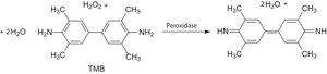 3,3′,5,5′-Tetramethylbenzidine ≥98% (TLC)