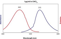 18:1 NBD PE Avanti Research™ - A Croda Brand