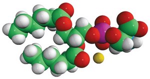 06:0 PS 1,2-dihexanoyl-sn-glycero-3-phospho-L-serine (sodium salt), powder