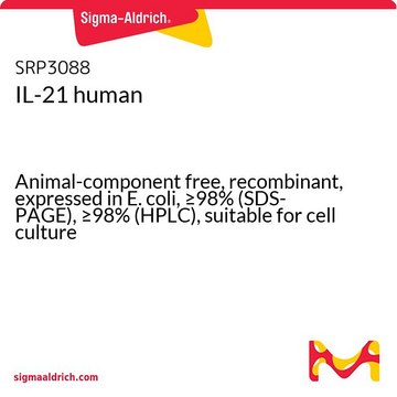 IL-21 人 Animal-component free, recombinant, expressed in E. coli, ≥98% (SDS-PAGE), ≥98% (HPLC), suitable for cell culture