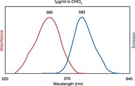 18:1 Liss Rhod PE Avanti Research™ - A Croda Brand