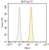 Anti-ST2/IL-33R Antibody, clone RMST-2 ZooMAb® Rat Monoclonal recombinant, expressed in HEK 293 cells