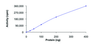 ZAK, active, GST tagged human PRECISIO® Kinase, recombinant, expressed in baculovirus infected Sf9 cells, ≥70% (SDS-PAGE), buffered aqueous glycerol solution