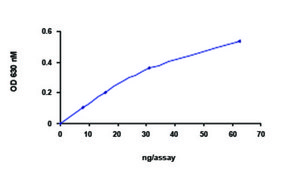 PTPN12 (1-355), active, GST tagged human recombinant, expressed in E. coli, ≥70% (SDS-PAGE), buffered aqueous glycerol solution