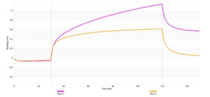 Anti-WNT3A Antibody, clone 2I8 ZooMAb® Rabbit Monoclonal recombinant, expressed in HEK 293 cells