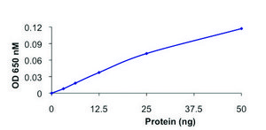 PP2C-α, active, GST tagged human recombinant, expressed in baculovirus infected Sf9 cells, ≥70% (SDS-PAGE), buffered aqueous glycerol solution
