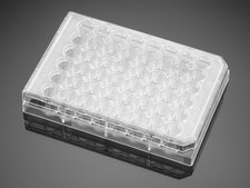 Corning® Falcon® Cell Culture Plate wells, 48, Tissue Culture (TC)-treated surface, flat bottom clear wells, sterile