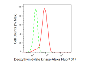 KD-Validated Anti DTYMK Antibody, clone 23GB5235, Rabbit Monoclonal clone 23GB5235, recombinant rabbit monoclonal, expressed in HEK293 cells