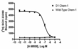 ChemiScreen D1 Dopamine Receptor Membrane Preparation Human D1 GPCR membrane preparation for Radioligand binding Assays &amp; GTPgammaS binding.