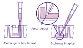 Millicell® 6 well hanging cell culture inserts pore size 0.4 μm, clear PET membrane, diam. 24 mm, Tissue Culture (TC)-treated surface, sterile