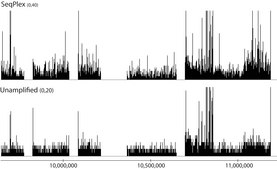 SeqPlex DNA Amplification Kit For use with high throughput sequencing technologies, Whole Genome Amplification kit designed to facilitate Next Gen Sequencing.