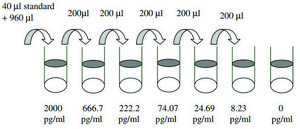 大鼠CNTF ELISA试剂盒 for serum, plasma and cell culture supernatant