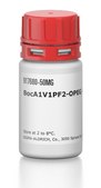 BocA1V1PF2-OPEG3-NH2 hydrochloride