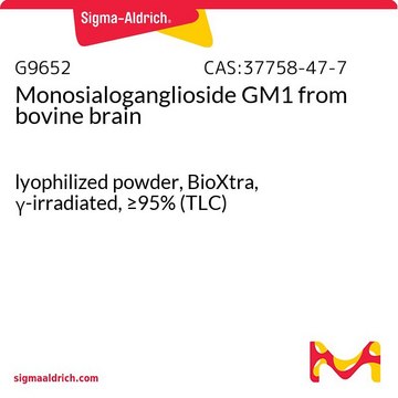 Monosialoganglioside GM1 from bovine brain lyophilized powder, BioXtra, γ-irradiated, ≥95% (TLC)