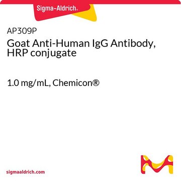 Goat Anti-Human IgG Antibody, HRP conjugate 1.0 mg/mL, Chemicon®
