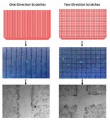 Cell Comb™ Scratch Assay