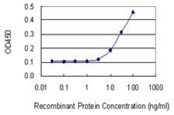 Monoclonal Anti-HSF1 antibody produced in mouse clone 1A11, purified immunoglobulin, buffered aqueous solution