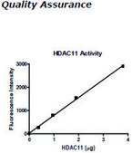 HDAC-11 human recombinant, expressed in baculovirus infected insect cells, ≥10% (SDS-PAGE)